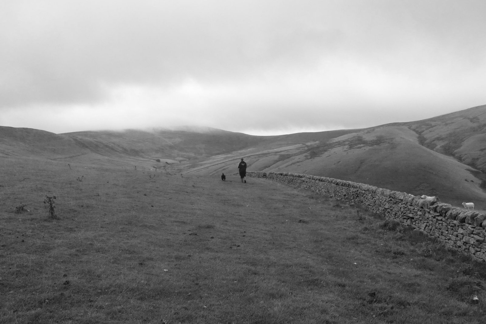 One of MJ Creative's founders on a dog walk in the Peak District